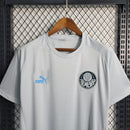 Camisa Palmeiras Treino 23/24 Cinza - Torcedor