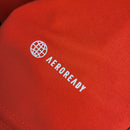 Camisa Internacional Casa 23/24 - Torcedor